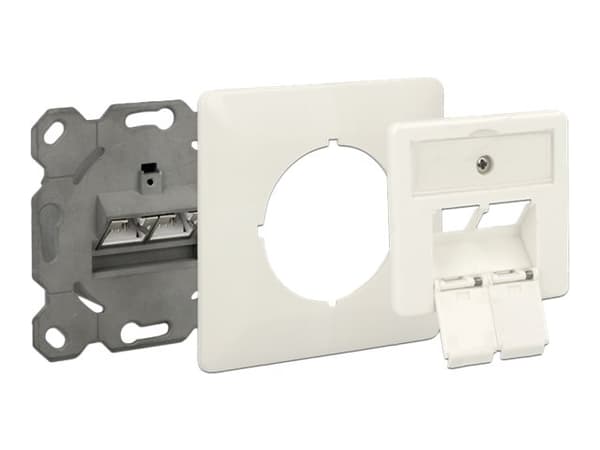 Delock Modular Wall Outlet flush mount 2 Port Cat.6A LSA - Uttag för nedsänkt montering - CAT 6 - STP - RJ-45 X 2 - 1-gang Vit