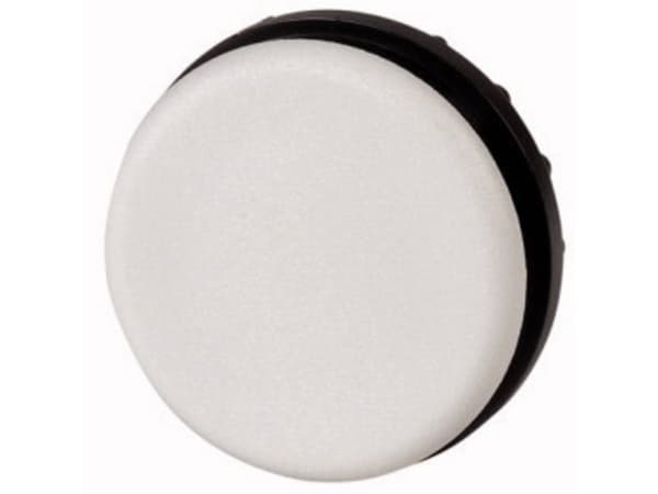 Eaton M22-B Blindprop Rund (Ø) 29,5 mm Grå 1 stk