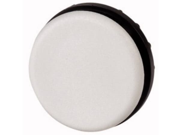 Eaton M22-B Blindprop Rund (Ø) 29,5 mm Grå 1 stk