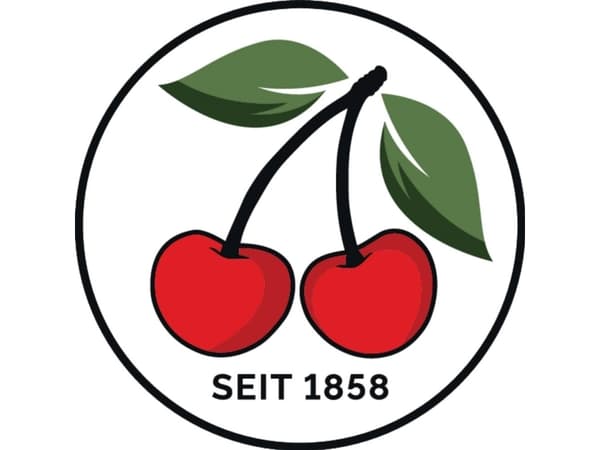Wilh. Schmitt &amp; Comp. 1001-22 Puutaltta, taltta, taltta