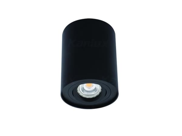 Ceiling light Kanlux Bord 1x50W ceiling lamp (22552)