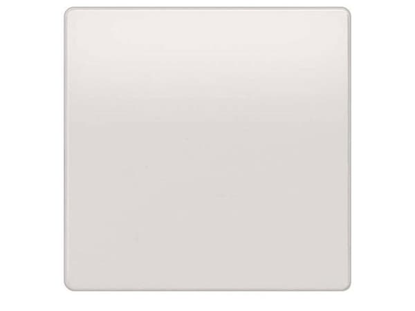 Siemens BPZ:QAA2061D 1 St. (BPZ:QAA2061D)