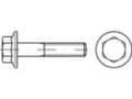 Miniatyrbild 1 av 2: TOOLCRAFT TO-5360967 Sekskantsskrue M10 60 mm Udvendig sekskant Rustfrit stål A2 100 stk