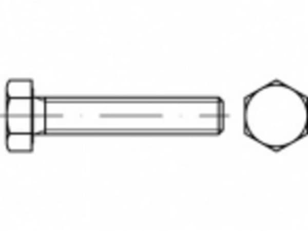 TOOLCRAFT TO-5366535 Sekskantsskruer M5 12 mm Udvendig sekskant ISO 4017 Rustfrit stål A2 500 stk Rustfrit stål A2 500 stk