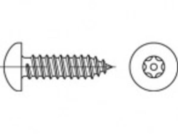 TOOLCRAFT TO-5380104 Sikkerhedsskruer 4,8 mm 50 mm Invendig torx 88114 Rustfrit stål A2 100 stk