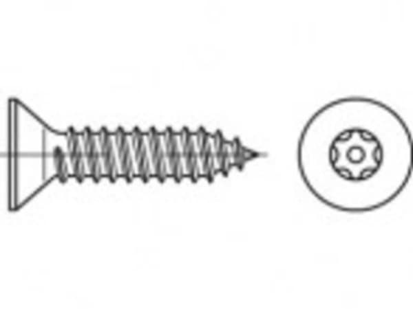 TOOLCRAFT TO-5380173 Sikkerhedsskruer 4,8 mm 16 mm Invendig torx 88115 Rustfrit stål A2 100 stk