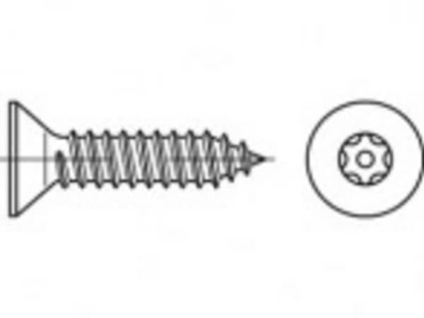 TOOLCRAFT TO-5380179 Sikkerhedsskruer 5.5 mm 16 mm Invendig sekskant 88115 Rustfrit stål A2 100 stk