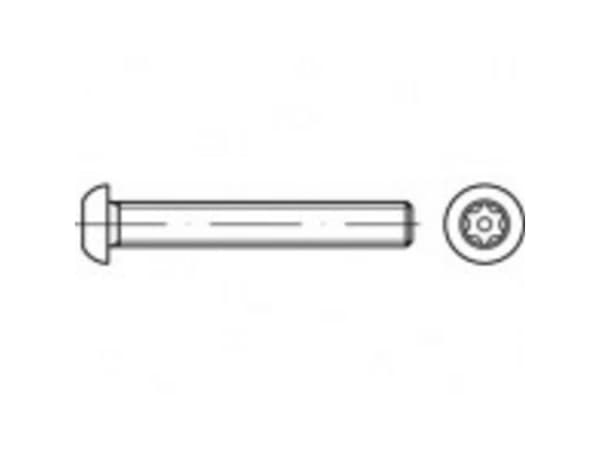 TOOLCRAFT TO-5380281 Sikkerhedsskruer M10 65 mm Invendig sekskant 88116 Rustfrit stål A2 100 stk