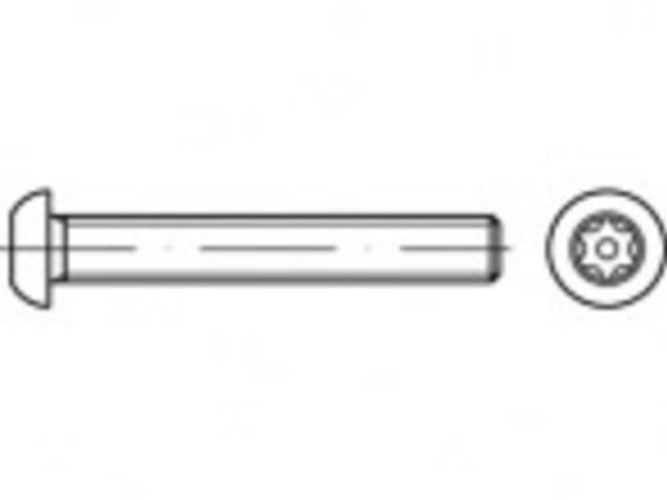 TOOLCRAFT TO-5380281 Sikkerhedsskruer M10 65 mm Invendig sekskant 88116 Rustfrit stål A2 100 stk