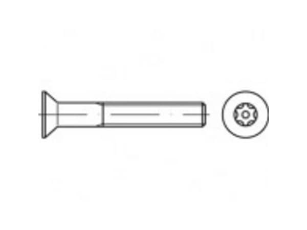 TOOLCRAFT TO-5380323 Sikkerhedsskruer M6 60 mm Invendig torx 88117 Rustfrit stål A2 100 stk Rustfrit stål A2 100 stk