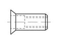 Miniatyrbild 2 av 2: TOOLCRAFT TO-5380530 Blindnittemøtrik M8 Rustfrit stål 100 stk