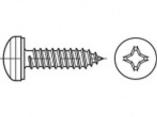 TOOLCRAFT TO-5380629 Levyruuvit 19 mm Lasta Philips 88981 Ruostumaton teräs A2 1000 kpl