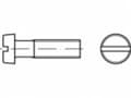 Miniatyrbild 1 av 2: TOOLCRAFT TO-5384988 Cylinderskruer M10 12 mm Kærv 200 stk