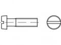 Miniatyrbild 1 av 2: TOOLCRAFT TO-5385441 Cylinderskruer M10 12 mm Kærv Stål Galvaniseret 100 stk
