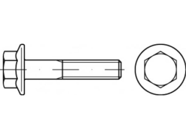 TOOLCRAFT TO-5391735 Sekskantsskrue M12 70 mm Udvendig sekskant Stål Galvaniseret 50 stk