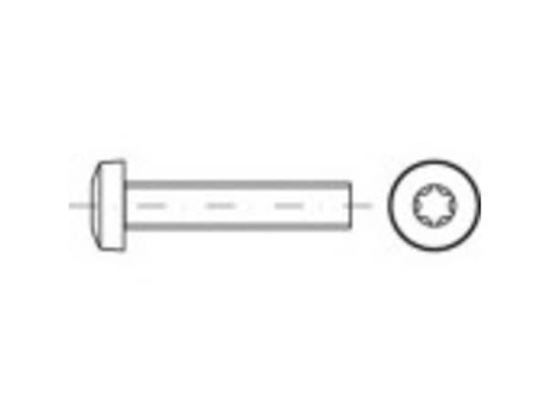 TOOLCRAFT TO-5440830 Linsehoved-skruer M6 30 mm Invendig sekskant Stål Galvaniseret 500 stk