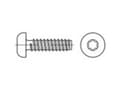 Pikkukuva 1 / 2: TOOLCRAFT TO-5441190 Pladeskruer 80 mm Invendig torx ISO 14585 Stål Galvaniseret 250 stk