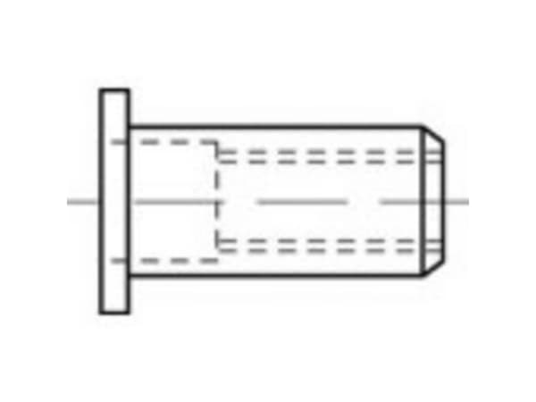 TOOLCRAFT TO-5444235 Blindnittemøtrik M6 Stål 250 stk