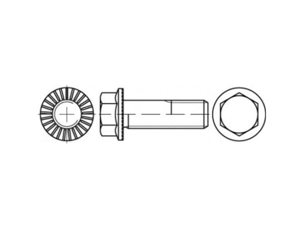TOOLCRAFT TO-5444454 Sekskantsskrue M5 10 mm Udvendig sekskant 88913 500 stk