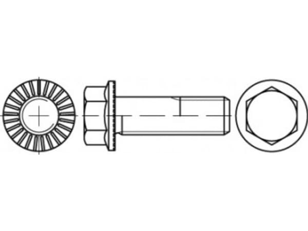 TOOLCRAFT TO-5444592 Sekskantsskrue M14 50 mm Udvendig sekskant 88913 100 stk