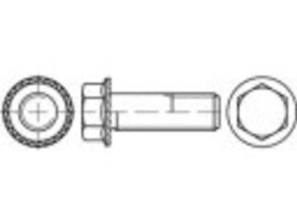 TOOLCRAFT TO-5444658 Låseskruer M5 10 mm Udvendig sekskant 88933 500 stk