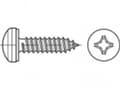 Pikkukuva 1 / 2: TOOLCRAFT TO-5444739 Litteä ruuvi 22 mm Lasta Philips 88981 Teräs Sinkitty 500 kpl
