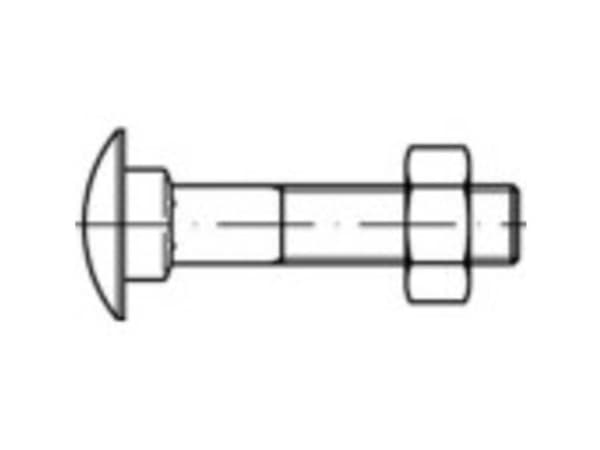 TOOLCRAFT TO-5448279 Skruvar med rund platt huvud M6 35 mm fyrkantig DIN 603 Mässing 100 st