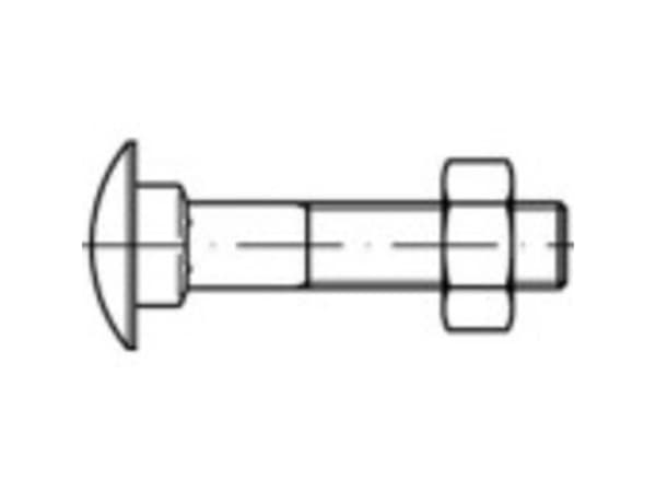 TOOLCRAFT TO-5448321 Skruvar med rund platt huvud M8 60 mm Fyrkant DIN 603 Mässing 50 st