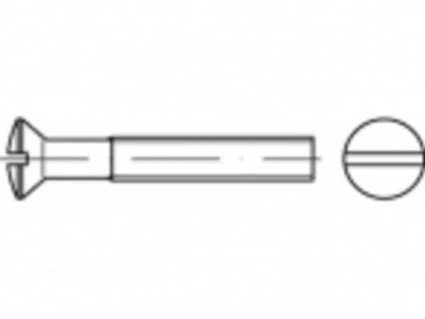 TOOLCRAFT TO-5452914 Sänkt skruv M6 12 mm Thumb ISO 2010 Mässing Förnicklad 200 st
