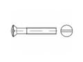 Miniatyrbilde 2 av 2: TOOLCRAFT TO-5453001 Undersænkede linseskruer M4 60 mm Kærv Messing Galvaniseret forkromning 200 stk