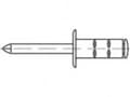 Miniatyrbilde 1 av 2: TOOLCRAFT TO-5455206 Åben blindnitte 3.2 mm 1000 stk
