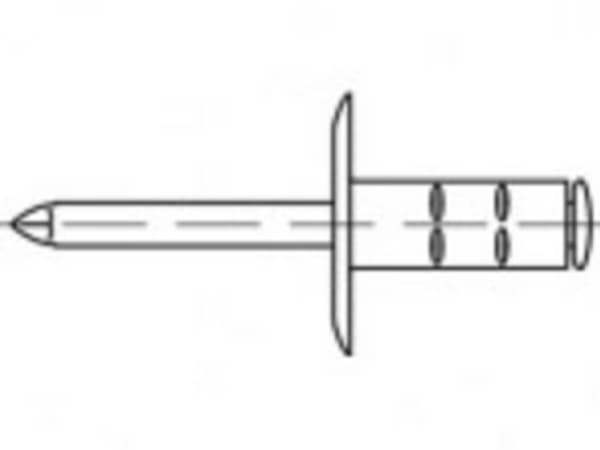 TOOLCRAFT TO-5455257 Åben blindnitte 4.8 mm 250 stk