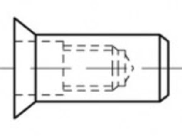 TOOLCRAFT TO-5455287 Blindnittemøtrik M6 500 stk