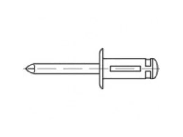 TOOLCRAFT TO-5455305 Åben blindnitte 4.8 mm 250 stk
