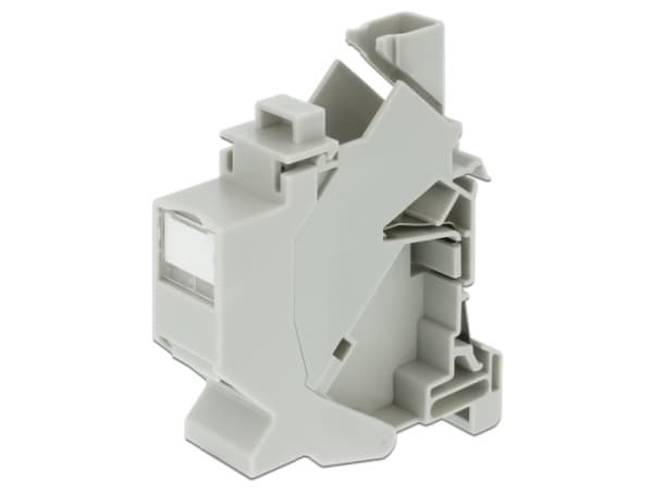 Delock Keystone Mounting for DIN rail with dust cover - Chassi med modulär insättning - kan monteras på DIN-skena - vit - 1 port