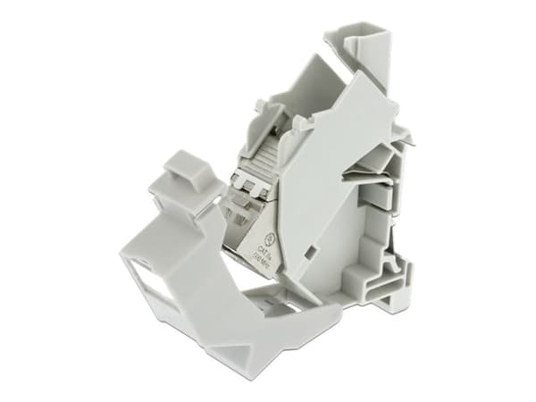 Delock Keystone Mounting for DIN rail with dust cover - Chassi med modulär insättning - kan monteras på DIN-skena - vit - 1 port