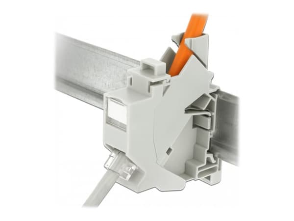 Delock Keystone Mounting for DIN rail with dust cover - Chassi med modulär insättning - kan monteras på DIN-skena - vit - 1 port