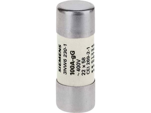 Siemens 3NW62301 Cylindersikringsindsats 100 A 500 V