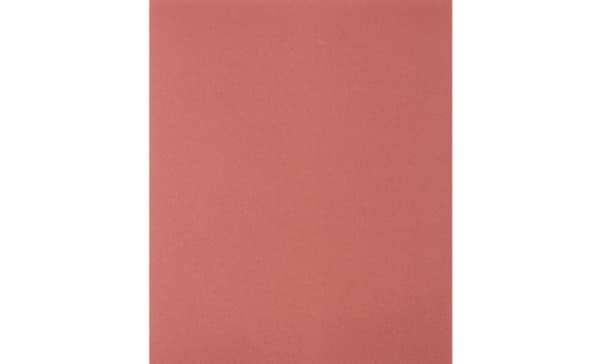 PFERD 45013022, 28 cm, 230 mm, 220 g, 50 st