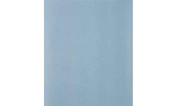 PFERD 45015060, 280 mm, 230 mm, 600 g, 50 stk.