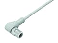 Pikkukuva 1 / 3: BINDER 77 3727 0000 40404-0500, 5 m, M12, Uros, Harmaa, Kestomuovinen elastomeeri, -40 - 105 °C