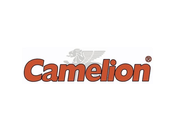 Camelion 30200050 Sensor-Light SL7018 Retkeilylamppu LED (RGB) 25 lm Paristokäyttöinen 123 g Valkoinen, Harmaa