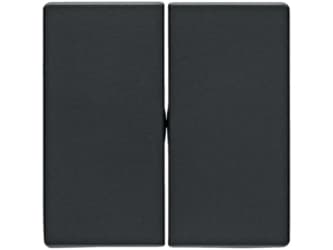 Berker 16236086, Antracit, Duroplast, 10 styck