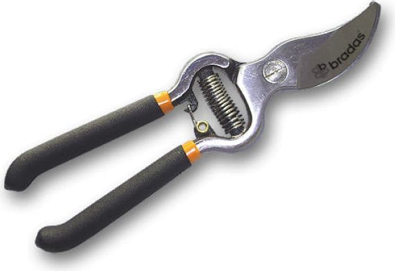 Bradas KT-RG1009