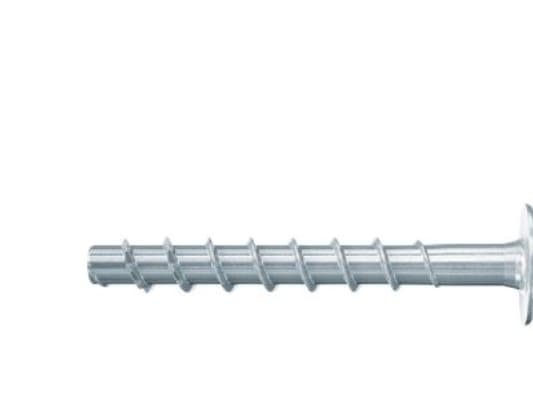 Fischer 546391, Skruv, Betong, Allmän användning, ETA-15/0352, ETA-18/0242, 60 mm, Låda