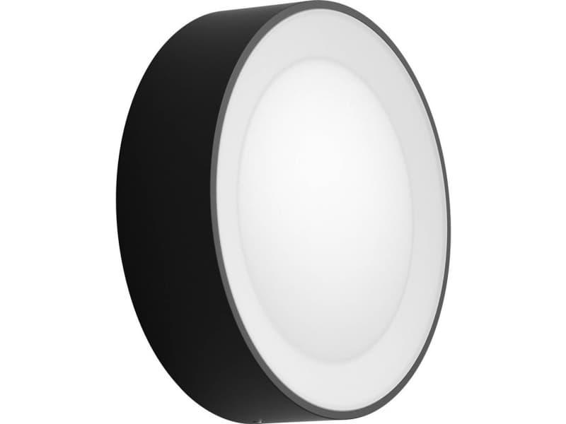 Daylo Hue WACA wall lantern black 1x15W