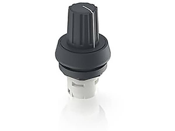 RAFI 1.30077.021 Potentiometer Knob