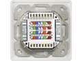 Miniatyrbild 5 av 5: Renkforce RF-4391320, 2 x RJ-45, Vit, 80 mm, 80 mm