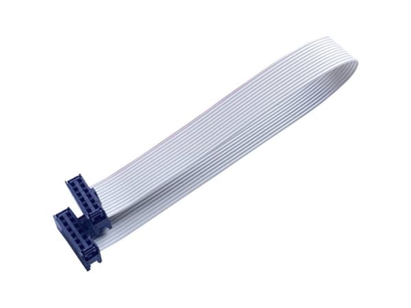 BKL Electronic 10120669 Fladkabler Rastermål: 2.54 mm 12 x 0.08 mm² Grå 1 stk