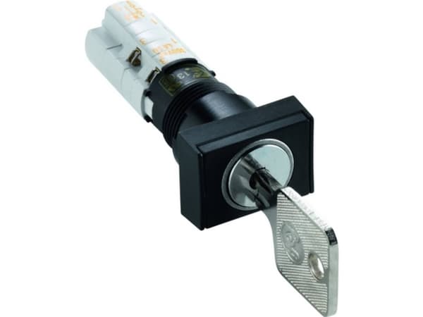 RAFI 1.15.108.632/0100 Nyckelbrytare 250 V/AC 4 A 2 x Av/på 1 x 90° IP40 2 st